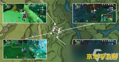 原神树王蘑菇 原神中的树王蘑菇：探索与价值的双重魅力