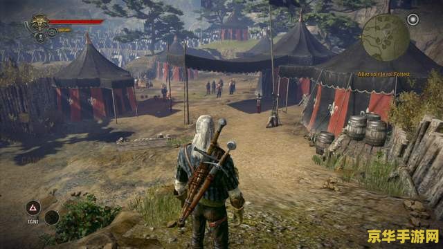 巫师2 设置 巫师2：国王刺客游戏设置详解