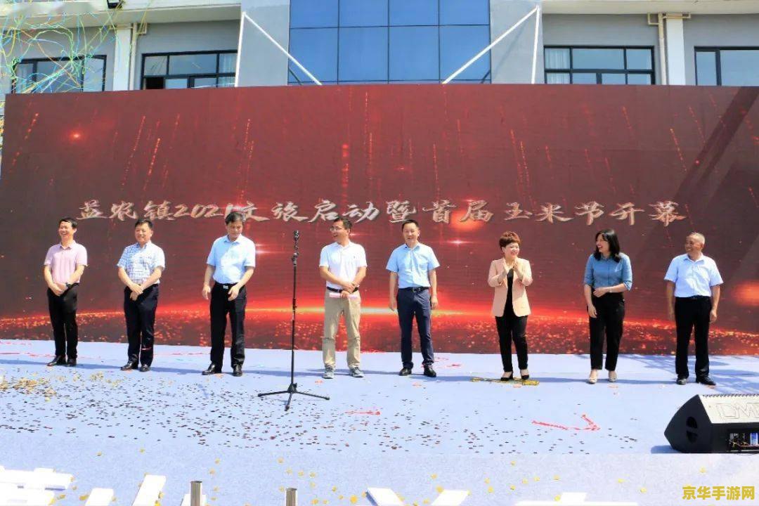 原神雷屏障里面的东西咋用 原神雷屏障内部奥秘解析