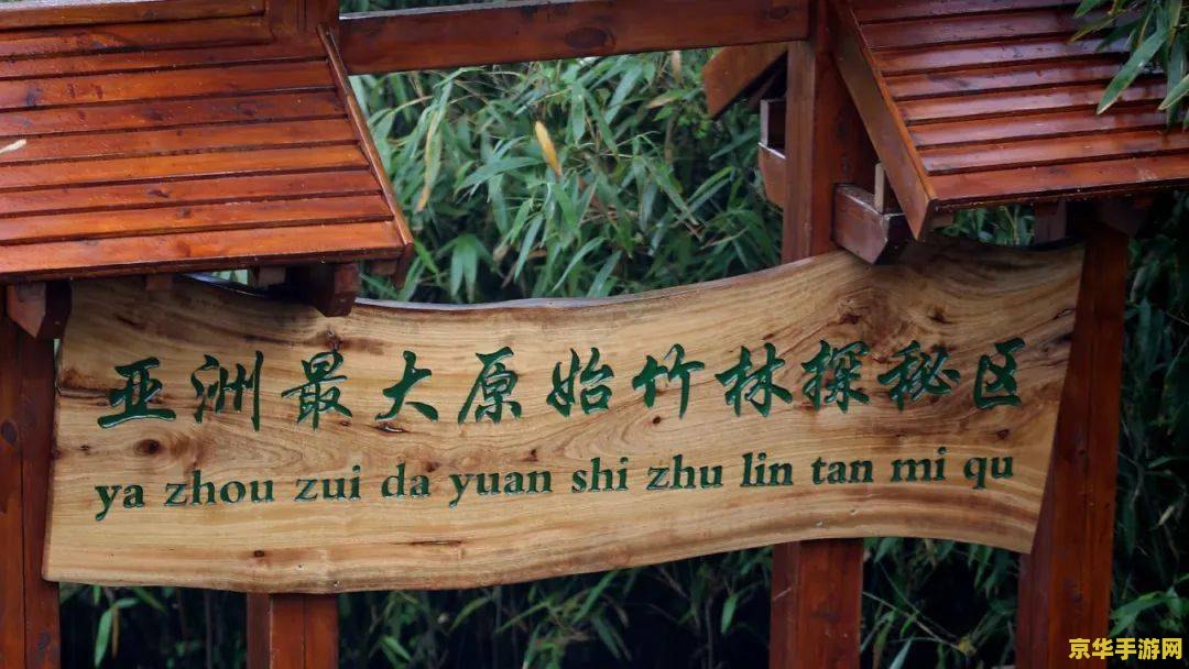 fm2012 妖人 FM2012妖人探秘：发掘与培养游戏中的未来之星