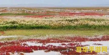 湿地传奇 湿地探险：传奇之旅