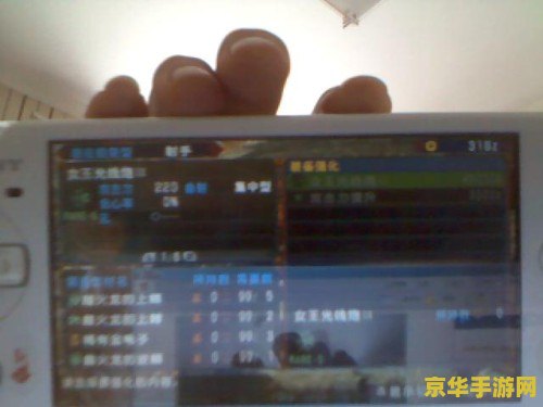 怪物猎人p3金手指教程 怪物猎人P3金手指使用指南