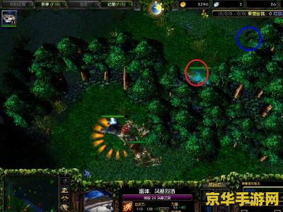 dota挂 Dota外挂：游戏公平性的挑战与应对