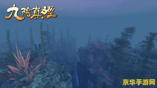 九阴真经桃花岛入门任务 九阴真经桃花岛：揭秘入门之道