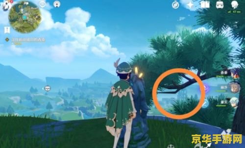 原神无妄坡发生了什么 原神无妄坡：尘封历史的解密之旅