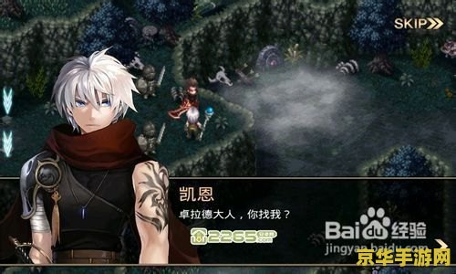 艾诺迪亚4忍者加点 艾诺迪亚4忍者加点攻略