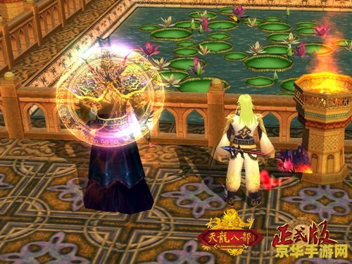 天龙八部珍兽幻化丹 天龙八部珍兽幻化丹：解锁珍兽新形态的秘密