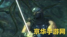 忍者龙剑传2攻略 忍者龙剑传2全面攻略解析 忍者龙剑传2攻略 忍者龙剑传2全面攻略解析
