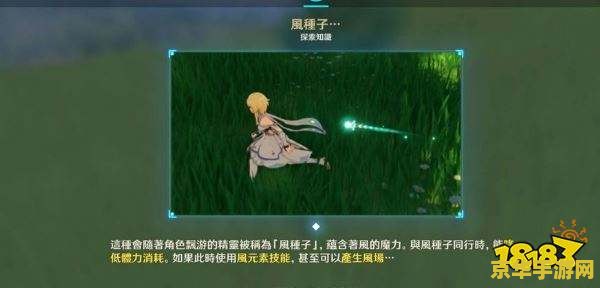 原神清泉镇怎么点亮 原神清泉镇点亮攻略