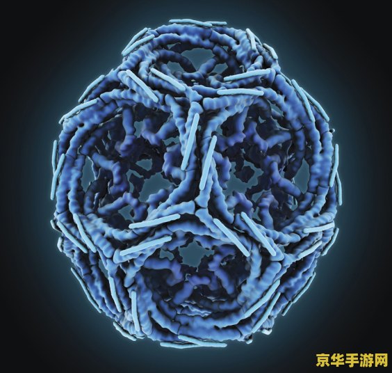 原神元素生命有哪些 原神中的元素生命探索