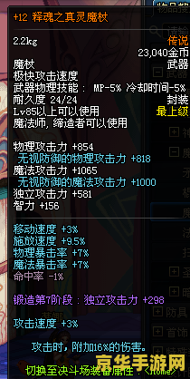 dnf冰结师 DNF冰结师：冰霜之力的掌控者