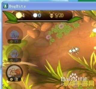 虫虫大作战秘籍 虫虫大作战：策略与技巧全攻略