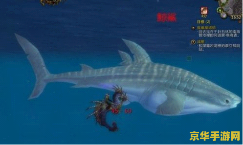 wow鲸鲨 wow鲸鲨：深海探险记游戏深度解析
