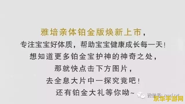原神亲赖旧宝 原神亲赖旧宝：探索与传承的交织