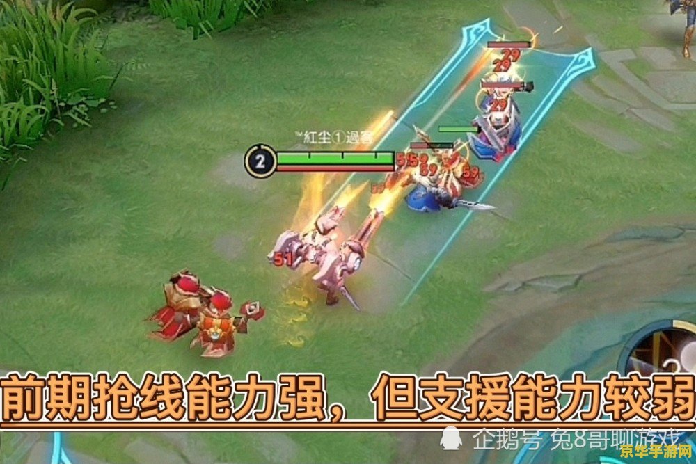 王者荣耀怎么破射手 王者荣耀：破解射手的战术策略