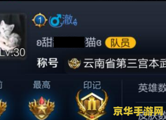 王者荣耀那些符号怎么弄 王者荣耀特殊符号设置与游戏文化深度解析