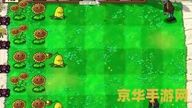 新版植物大战僵尸 新版植物大战僵尸：绿色防线再升级