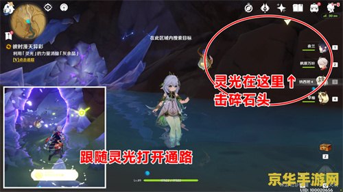 原神天云草实哪里获得 原神天云草实获取指南