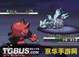 口袋妖怪黑白二周目图文攻略 口袋妖怪黑白二周目全面攻略 口袋妖怪黑白二周目图文攻略 口袋妖怪黑白二周目全面攻略
