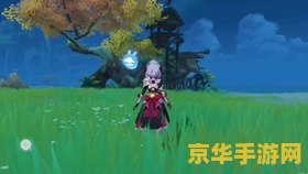 原神特殊宝藏第三个 原神特殊宝藏探索：揭秘第三个宝藏的秘密