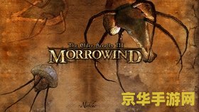 上古卷轴3晨风 上古卷轴3：晨风游戏深度解析