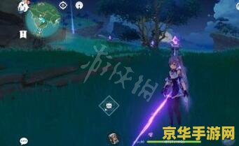 原神九条阵屋右边小岛解密 原神九条阵屋右边小岛解密攻略