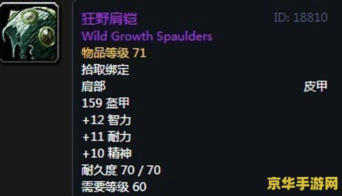 德鲁伊装备 魔兽世界德鲁伊装备选择与策略分析 德鲁伊装备 魔兽世界德鲁伊装备选择与策略分析