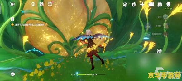 原神里面的莲蓬都在哪里 原神中的莲蓬秘境探寻