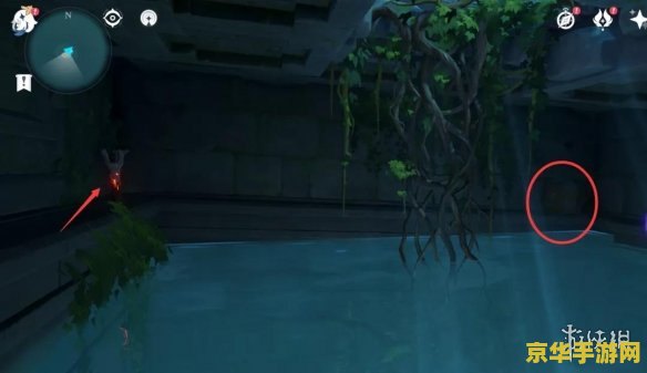 原神危危岛解密不出传送门 原神危危岛解密攻略：解决传送门不出现之谜