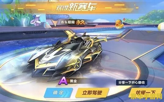 qq飞车才哥 QQ飞车才哥：竞速之王的驾驶艺术