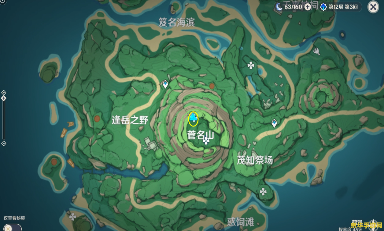 原神为什么都不用托马 原神中托马的使用现状与策略分析