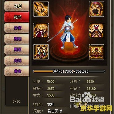 三国战记117秘籍 三国战记117游戏深度解析与秘籍分享
