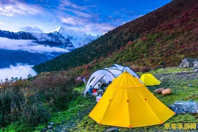 原神雪山近郊踏板 原神雪山近郊踏板解密攻略