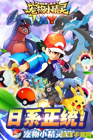 宠物小精灵xy特别篇 宠物小精灵XY：冒险新纪元