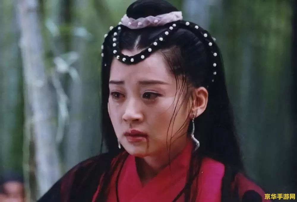 笑傲江湖仪玉 笑傲江湖仪玉：剑指江湖，情牵仪玉
