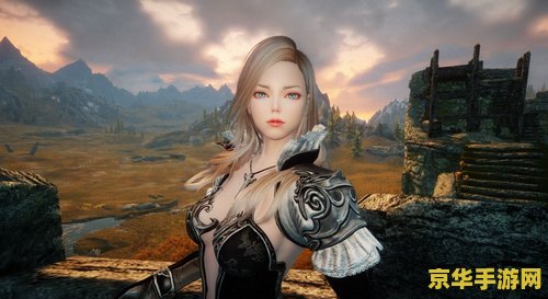上古卷轴5随从mod 上古卷轴5：天际中的随从MOD深度解析