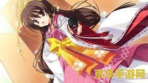 psp看漫画 PSP漫画阅读体验全攻略