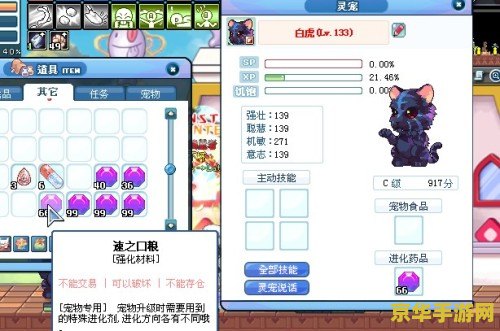 彩虹岛灵宠有什么用 彩虹岛灵宠：游戏中的得力助手