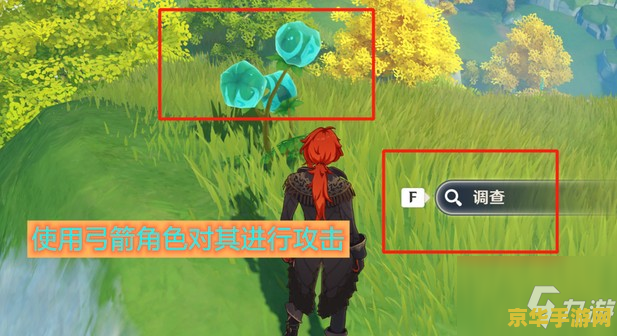 原神天云果实有卖吗 原神天云果实获取途径分析