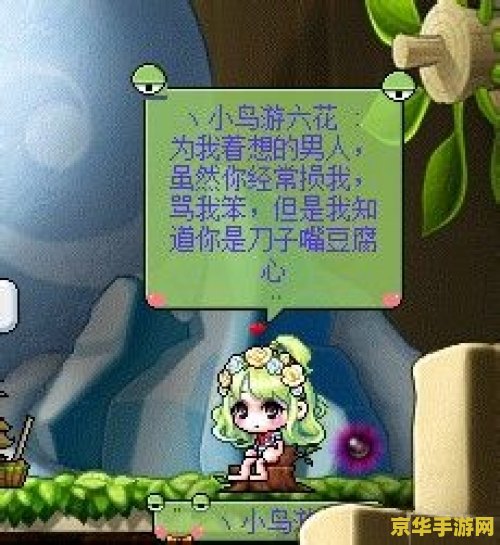 冒险岛送给有魅力的人的礼物 冒险岛：魅力之礼，赠予不凡的你