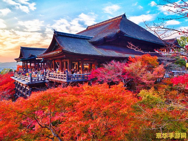 寻找一处合适的景观拍照原神 原神绝美拍照圣地探索