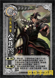 太阳神三国杀单机版 太阳神三国杀单机版：经典策略游戏的单机新体验