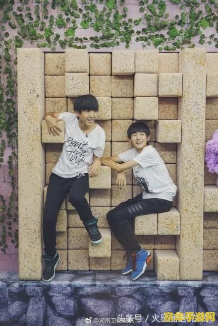 疯狂的麦咭tfboys TFBOYS挑战疯狂的麦咭：青春与勇气的碰撞