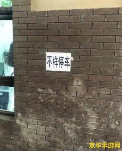 原神哪里多白铁 原神中白铁的丰富产地探索