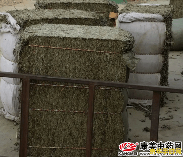 原神哪里多白铁 原神中白铁的丰富产地探索