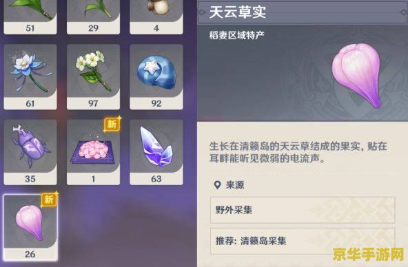 原神雷音权现解锁等级 原神雷音权现解锁等级及玩法深度解析