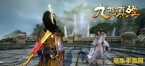 九阴真经醉拳 九阴真经醉拳：武侠世界的独特魅力