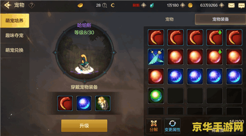原神飞行宠物怎么获得 原神飞行宠物获取攻略