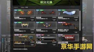 csol积分 CSOL积分系统深度解析