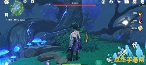 原神雾海与树之祭栖木位置 原神雾海与树之祭栖木位置详解